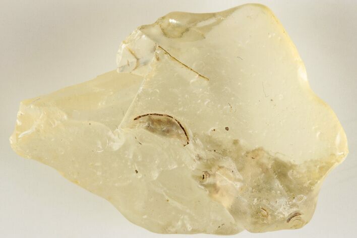 Libyan Desert Glass ( g) - Meteorite Impactite #200541